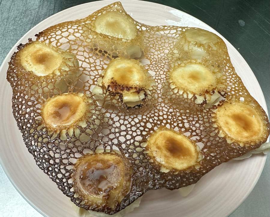 Yummy Dumplings Land Pty Ltd